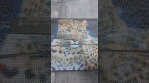 Минусы линейки для алмазной мозаики