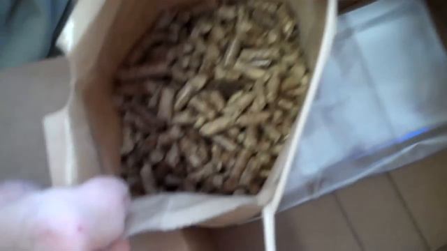 Mr. Pump GROWS Mushrooms смотреть онлайн