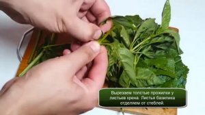 Острая сушеная приправа с листьями хрена и базиликом