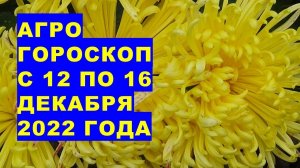 Агрогороскоп с 12 по 16 декабря 2022 года