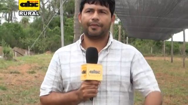 Construcción de mallas media sombra смотреть онлайн