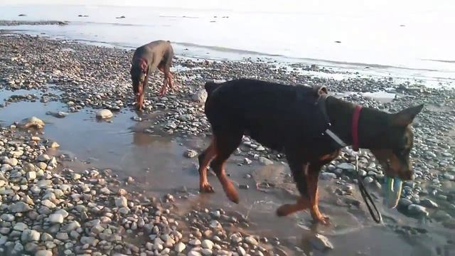 Tilda and Eugena, Kotlin island смотреть онлайн