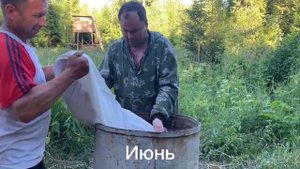Подкормочная для кабанов