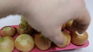 Почему лук из супермаркета не прорастает?