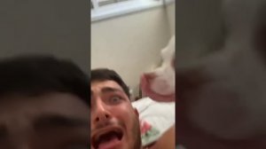 🔥the most angry nikki chihuahua compilation। chihuahua dog #19। Fanny chihuahua TV