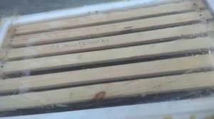 6 рамочный улей. Проверяем развитие пчелосемей.