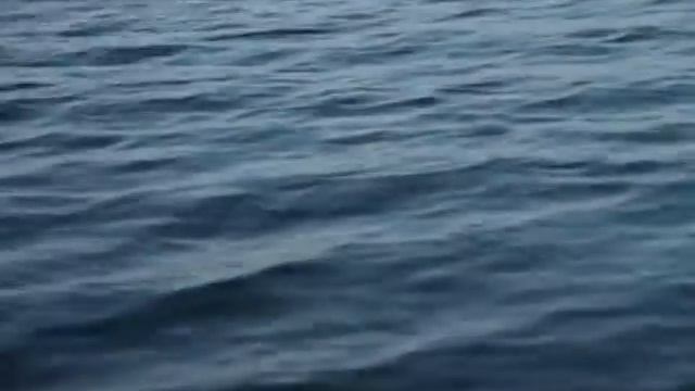 Микроджиг. Ловля Окуня Поздней Осенью. Мастер-Класс "О рыбалке всерьёз" видео 247.