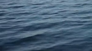 Микроджиг. Ловля Окуня Поздней Осенью. Мастер-Класс "О рыбалке всерьёз" видео 247.