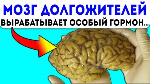 Натуральная таблетка от старости! Вот как увеличить выработку гормона молодости…