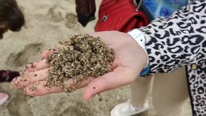 Riviera Hotel & Spa 4* ОТЛИЧНЫЙ БЮДЖЕТНЫЙ ОТЕЛЬ В ТУРЦИИ/ Отзыв об отеле/Алания / Отдых в Турции