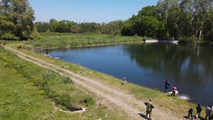 Платан (Самурский лес, Дагестан)