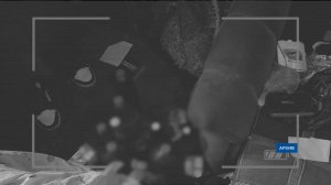 Залило кипятком. В потопе на октябрьской пострадала мебель и Кошка сварилась заживо