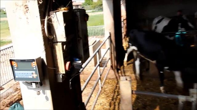 Видео Taurus