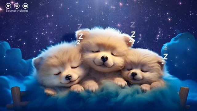 Entra en un Sueño Profundo en Solo 5 Minutos: Música Relajante para un Descanso Instantáneo