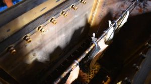 Солим и коптим Скумбрию и Кету. Электростатическое копчение.