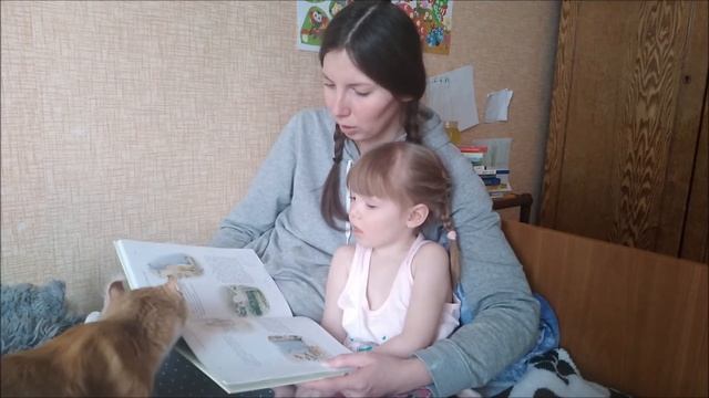 Б. Поттер "Сказка про Питера Пуша" смотреть онлайн