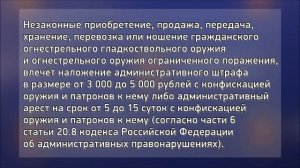 Правила хранения огнестрельного оружия физическими лицами и ответственность за их нарушение