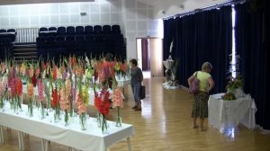 Gladiolus and Georgina Show, Bytča 2011 Slovakia, Výstava, Gladioly, Mečíky, Georgíny