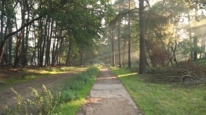 МУЖ УЗНАЛ ПРО ИЗМЕНУ, которая была давно! Я тогда перебрала на вечеринке и друг воспользовался..