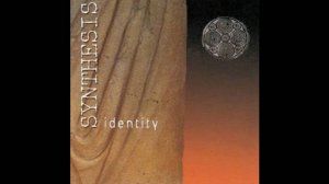 Synthsis-On the other side