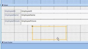 Access Tip: How to Use Images and OLE Objects in your Database