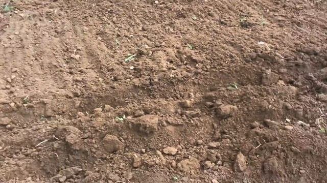Вспашка  земли  мотоблоком с плугом