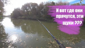 В поисках ЩУКИ по новым местам Оки (2021)