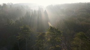 4к видео музыка Юрий Шатунов седая ночь.mov