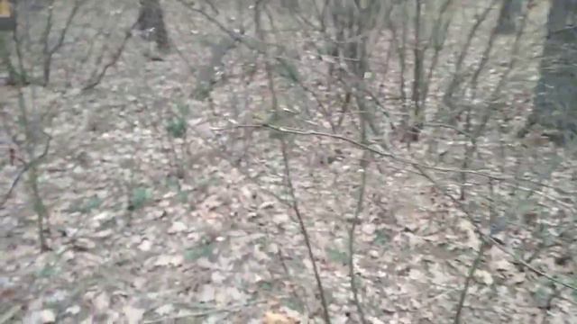 25 марта Ты начисто притворства лишена Е Евтушенко смотреть онлайн