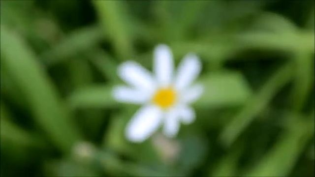 Максим Ермачков "На рабочей окраине Бутово" смотреть онлайн