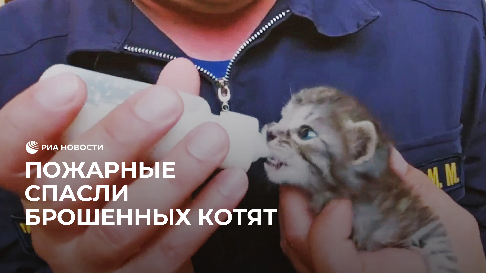 Спасение брошенной
