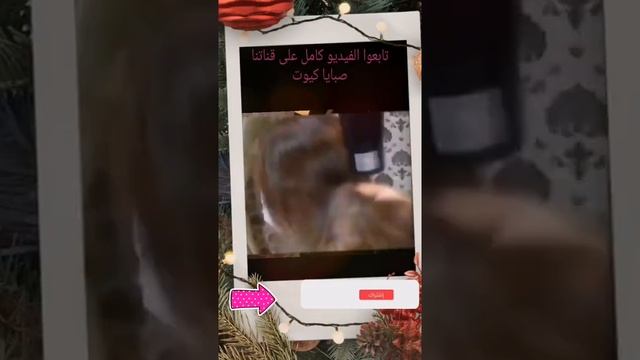 طريقة وضع صبغة الشعر 8/3 على الشعر الأسود بدون سحب لون الشعر