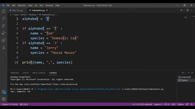 New Lines And Indentation