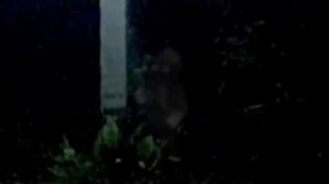 Топ-10 СТРАШНЫХ ВИДЕО, Лучшие Реальные Видео Ужасов, Снятые На Камеру