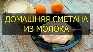 Как приготовить домашнюю сметану из молока. Рецепт домашней сметаны