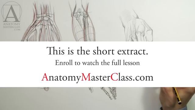 Drawing Hands - Anatomy Master Class смотреть онлайн