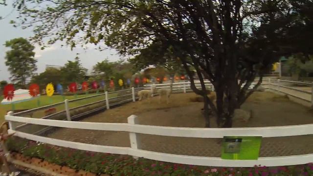 Новый Зоопарк в Хуахин / new Zoo in Hua Hin смотреть онлайн