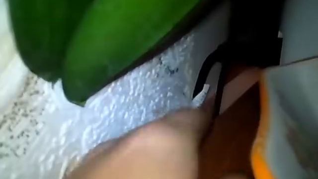 canon 6000 смотреть онлайн