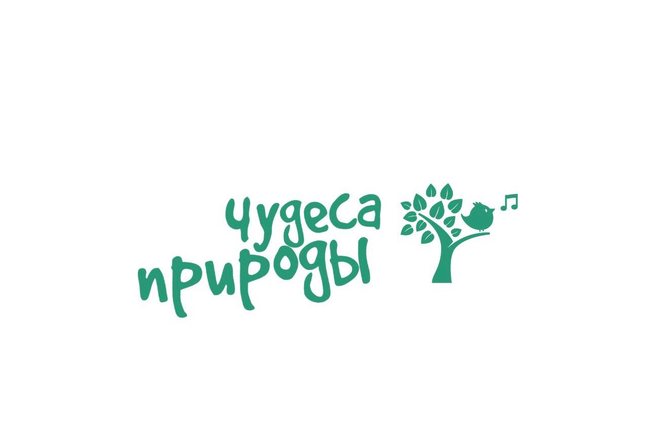 Дождь