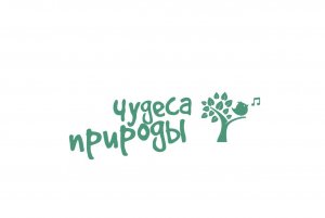 Дождь