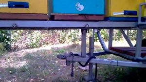 Передвижная мобильная пасека (прицеп для ульев под легковой автомобиль)