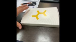 Chance Eden Severu тест ДНК на чистопородность (наличие/отсутствие примесей иных пород).