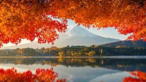 Гора Фуджи Осенний Мотив - Япония | View of Mount Fuji Autumn - Живые Обои