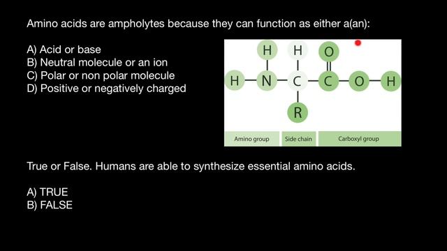 Amphoteric And Essential Amino Acids Explained