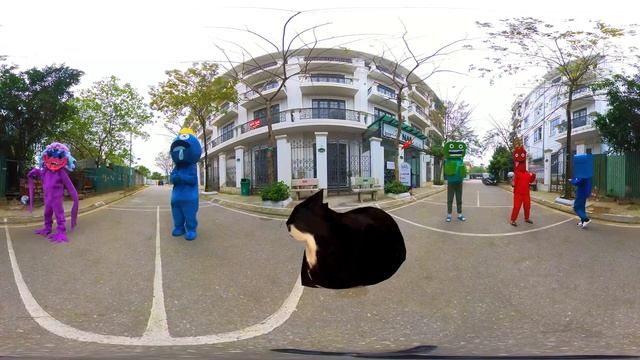 Maxwell The Cat 360° - GAME CENTER | VR/360° Experience