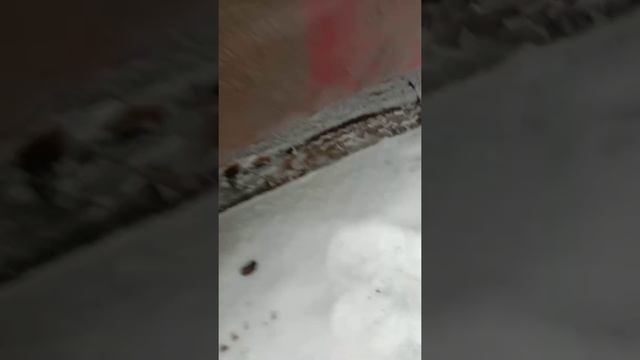 Ставим на Газель широкую 205 резина 205/65/r16c можно ли поставить и что будет смотреть онлайн