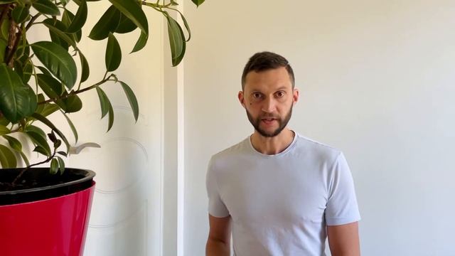 Набор для фотопротокола «Быстрый старт». Easy Dental Photo