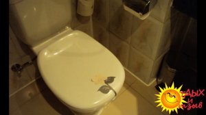 Отзывы отдыхающих об отеле Baron Resort 5*  г. Шарм-Эль-Шейх (ЕГИПЕТ)