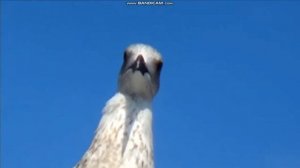 ЯЛТА 2022 / Жизнь в Ялте