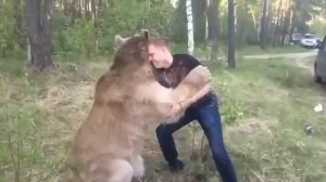 Русская народная забава - борьба с медведем. 
Русским быть круто)